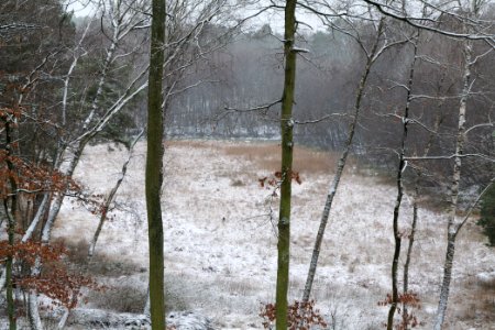 Barssee with snow 2021-01-03 09