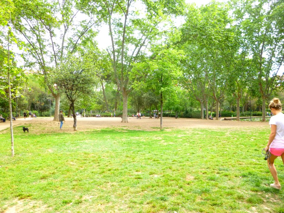 Barcelona - Parc Turó 2
