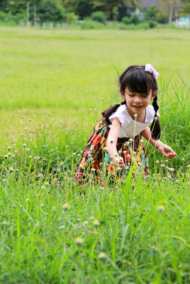 Cute pretty flower garden