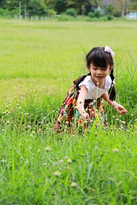 Cute pretty flower garden