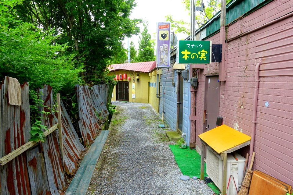 Bars - Mutsu, Aomori - DSC00763