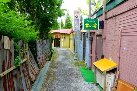 Bars - Mutsu, Aomori - DSC00763