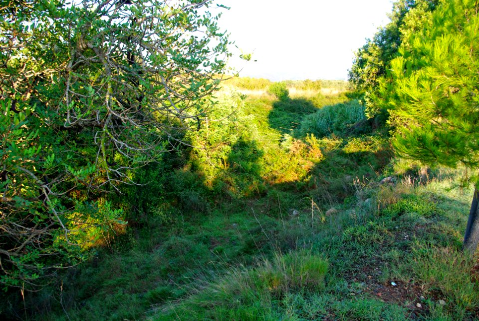 Barranc del Roquís