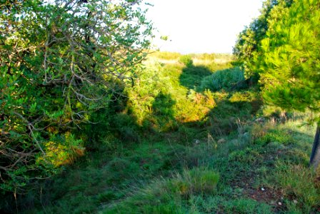 Barranc del Roquís