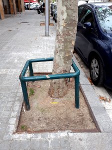 Barcelona tree trunk guard 2017 A