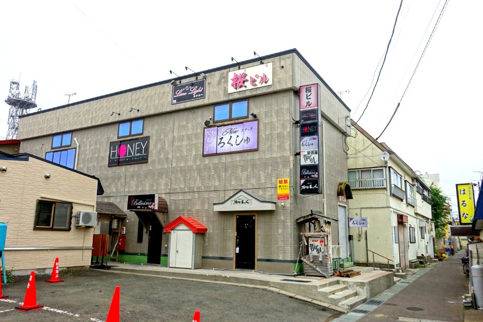 Bars - Mutsu, Aomori - DSC00749