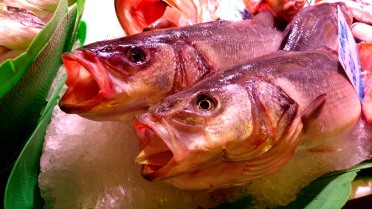 Barcelona Mercat De La Boqueria (232598019)