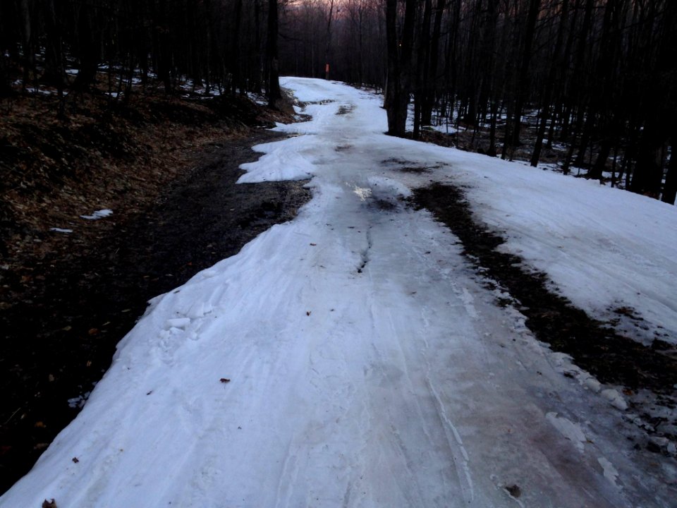 Bare spots, thin cover on Alpine trail