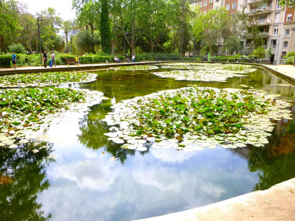 Barcelona - Parc Turó 3