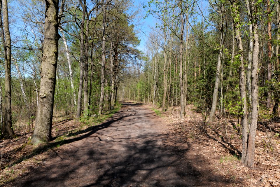 Baruther Urstromtal und Luckenwalder Heide 2021-05-09 98
