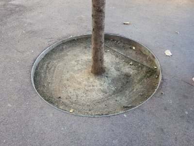 Barcelona round tree pit 2016 A