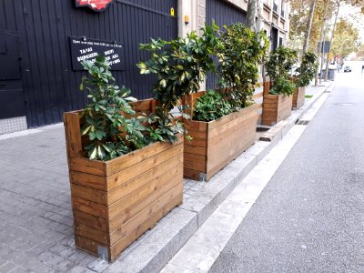 Barcelona wooden planters 2017 A