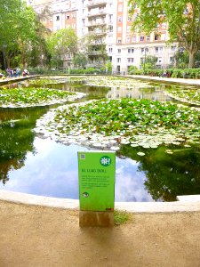 Barcelona - Parc Turó 6
