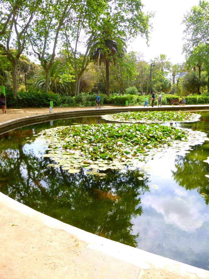 Barcelona - Parc Turó 4