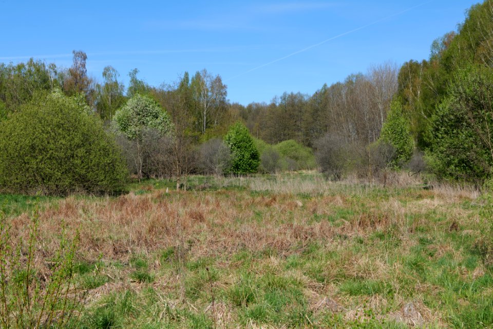Baruther Urstromtal und Luckenwalder Heide 2021-05-09 08