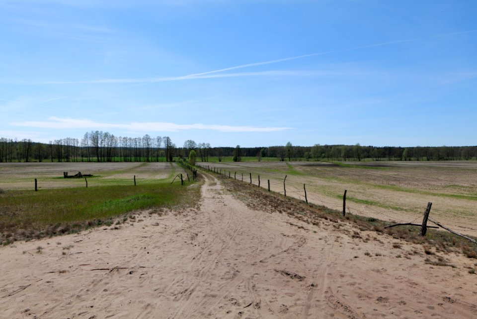 Baruther Urstromtal und Luckenwalder Heide 2021-05-09 106