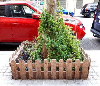 Barcelona tree pit fence 2017 A