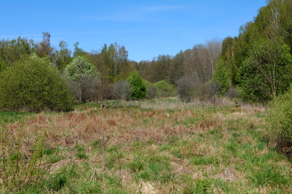 Baruther Urstromtal und Luckenwalder Heide 2021-05-09 07