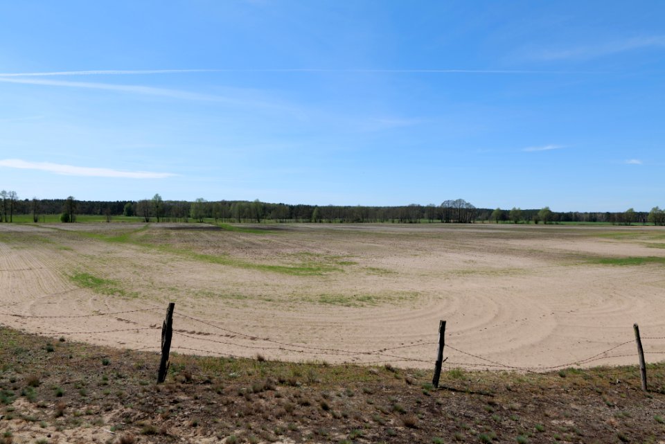 Baruther Urstromtal und Luckenwalder Heide 2021-05-09 113