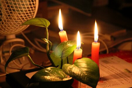 Home warm flames