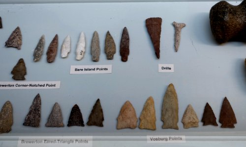 Bare Island points, drills, Brewerton eared-triangle points, Vosburg points - Late Archaic collection - Robbins Museum - Middleborough, Massachusetts - DSC03809
