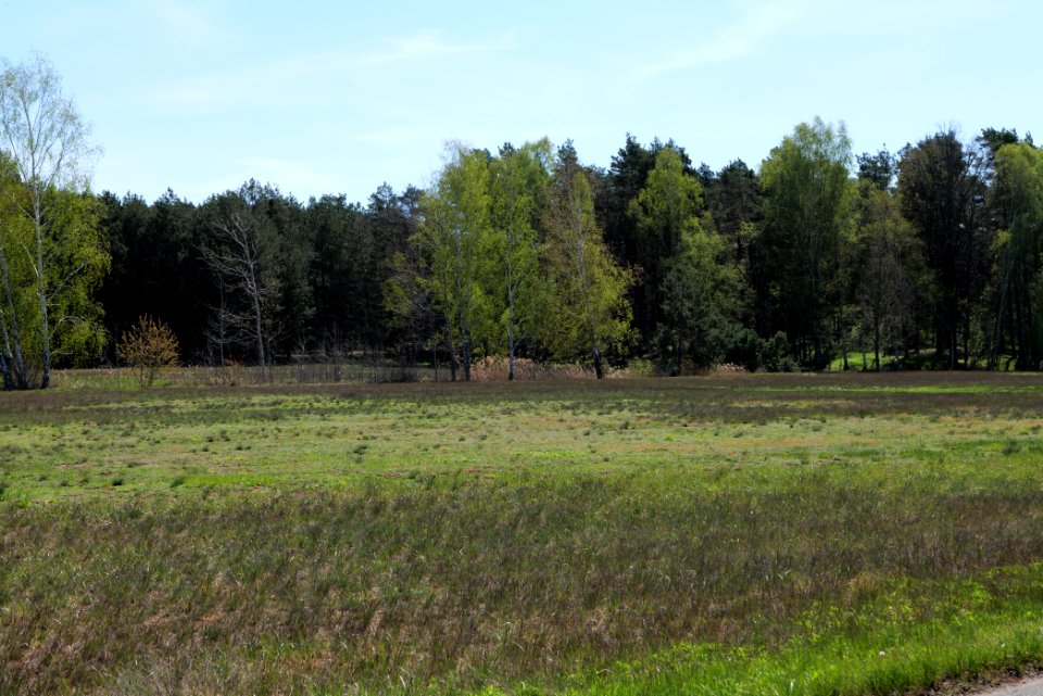 Baruther Urstromtal und Luckenwalder Heide 2021-05-09 38