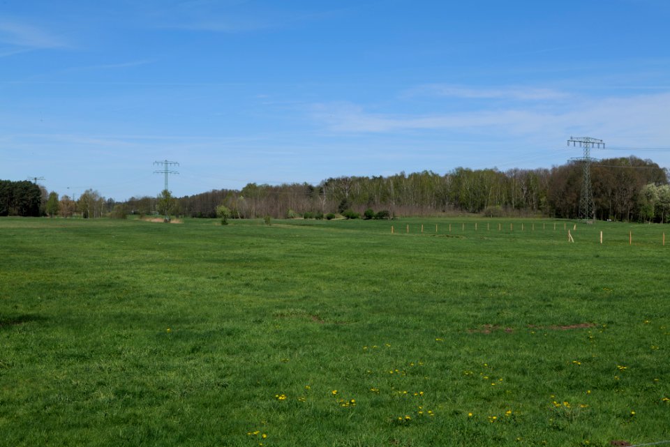 Baruther Urstromtal und Luckenwalder Heide 2021-05-09 52