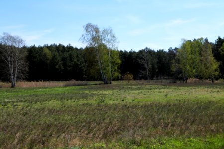 Baruther Urstromtal und Luckenwalder Heide 2021-05-09 41