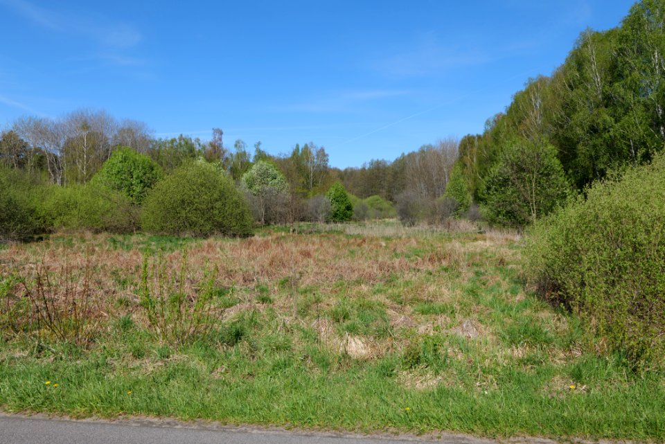 Baruther Urstromtal und Luckenwalder Heide 2021-05-09 06