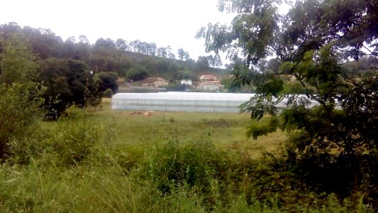 Bardás O Val Narón