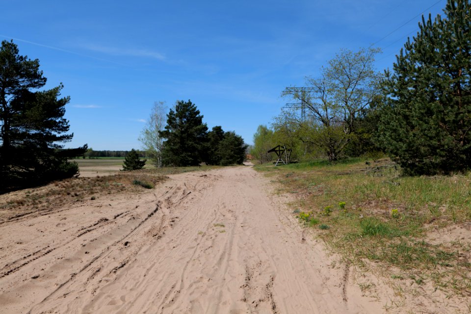 Baruther Urstromtal und Luckenwalder Heide 2021-05-09 104