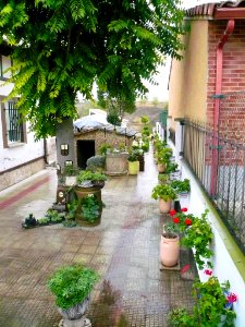 Bardauri 06