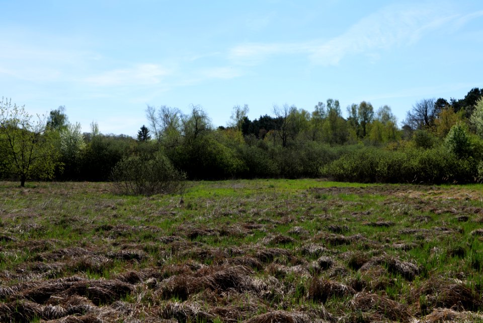 Baruther Urstromtal und Luckenwalder Heide 2021-05-09 04