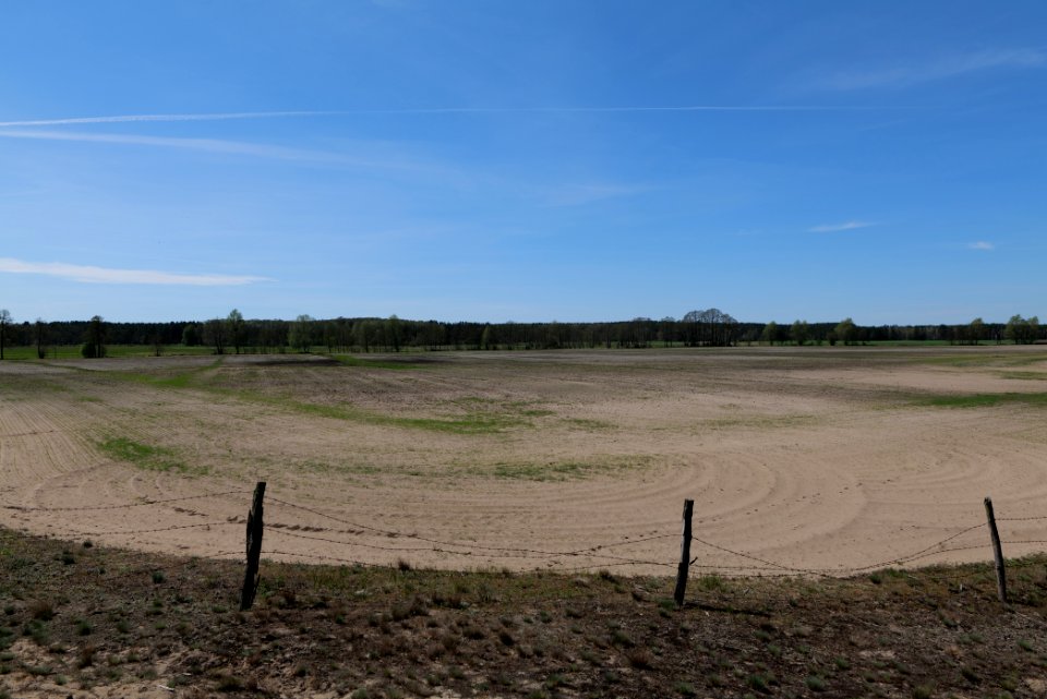 Baruther Urstromtal und Luckenwalder Heide 2021-05-09 112
