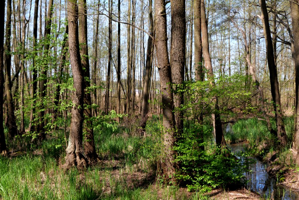 Baruther Urstromtal und Luckenwalder Heide 2021-05-09 23