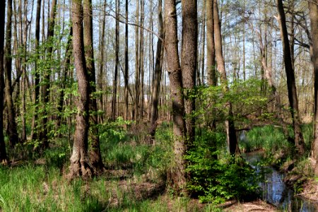Baruther Urstromtal und Luckenwalder Heide 2021-05-09 23