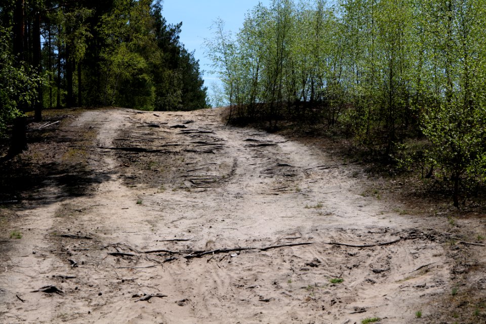 Baruther Urstromtal und Luckenwalder Heide 2021-05-09 129