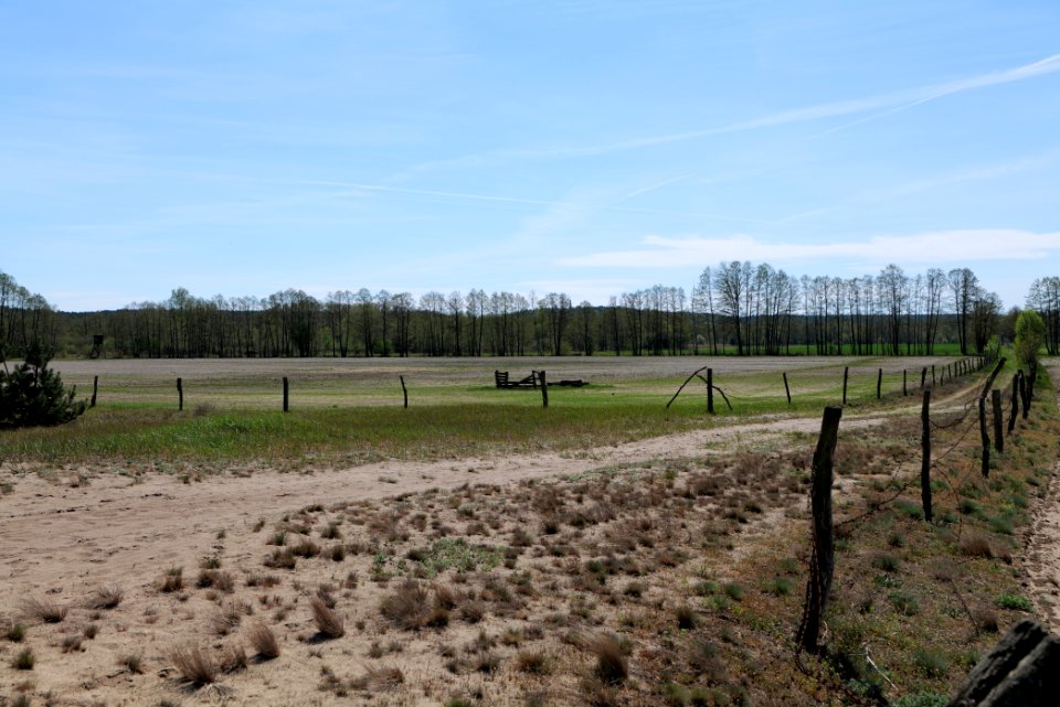 Baruther Urstromtal und Luckenwalder Heide 2021-05-09 117