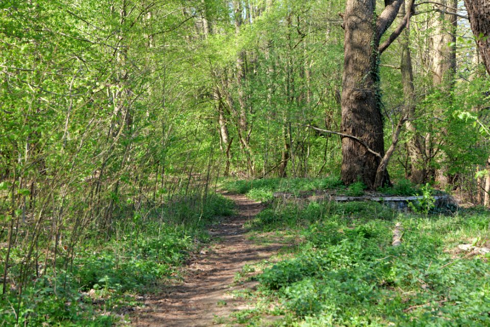 Baruther Urstromtal und Luckenwalder Heide 2021-05-09 16