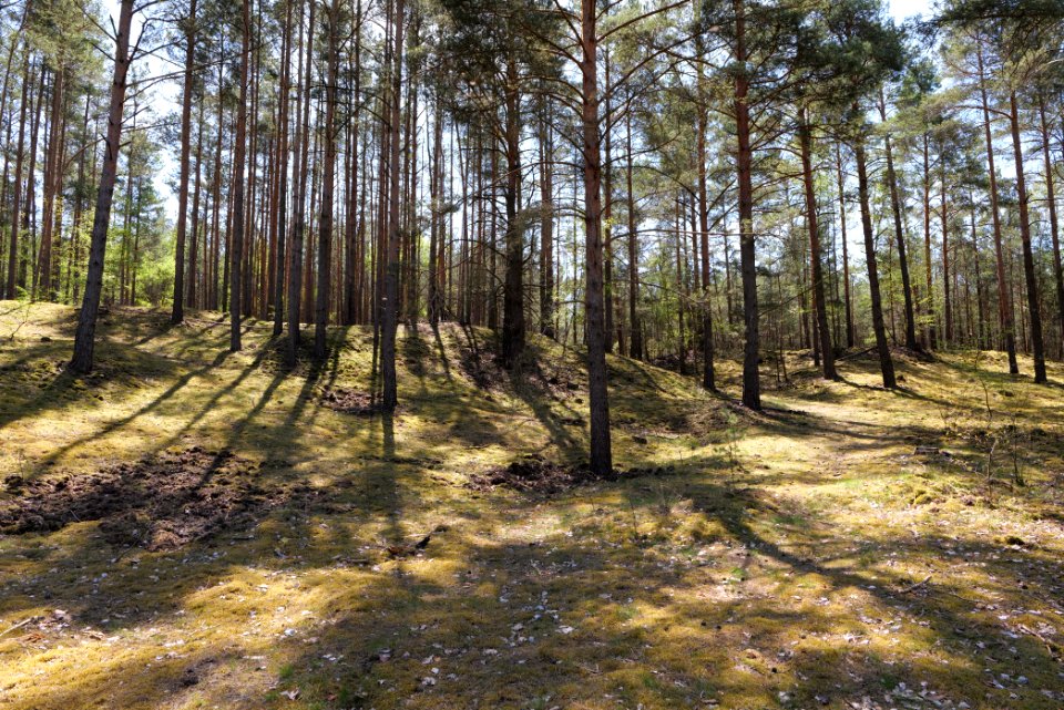 Baruther Urstromtal und Luckenwalder Heide 2021-05-09 123