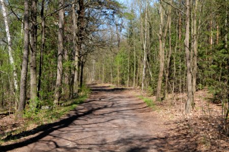 Baruther Urstromtal und Luckenwalder Heide 2021-05-09 99
