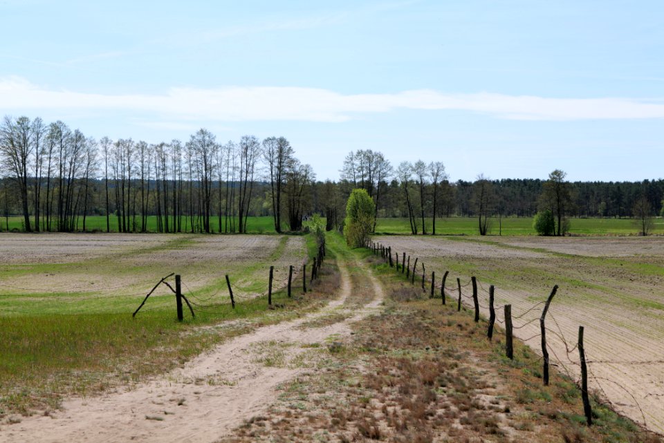 Baruther Urstromtal und Luckenwalder Heide 2021-05-09 111