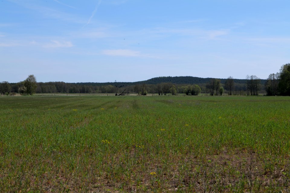 Baruther Urstromtal und Luckenwalder Heide 2021-05-09 71
