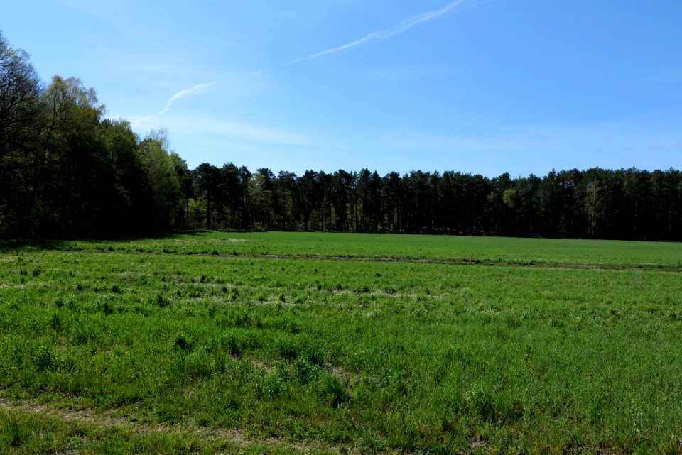Baruther Urstromtal und Luckenwalder Heide 2021-05-09 62