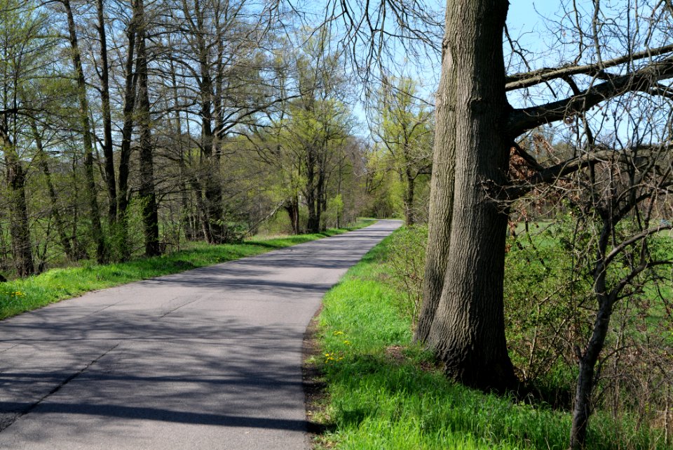 Baruther Urstromtal und Luckenwalder Heide 2021-05-09 54