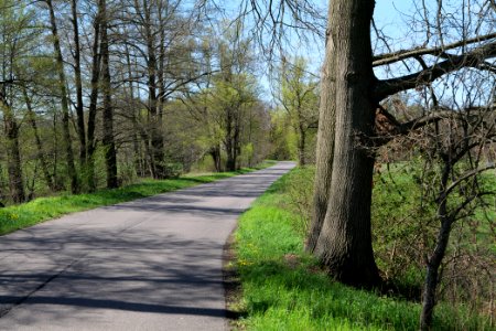 Baruther Urstromtal und Luckenwalder Heide 2021-05-09 54