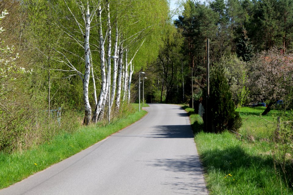 Baruther Urstromtal und Luckenwalder Heide 2021-05-09 09