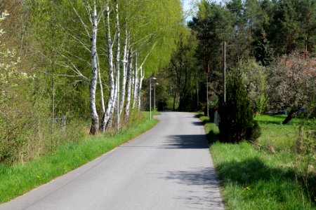 Baruther Urstromtal und Luckenwalder Heide 2021-05-09 09
