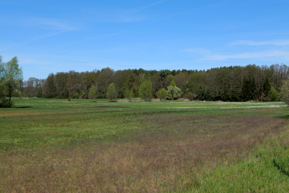 Baruther Urstromtal und Luckenwalder Heide 2021-05-09 46