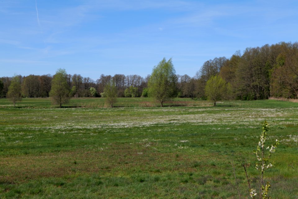 Baruther Urstromtal und Luckenwalder Heide 2021-05-09 31
